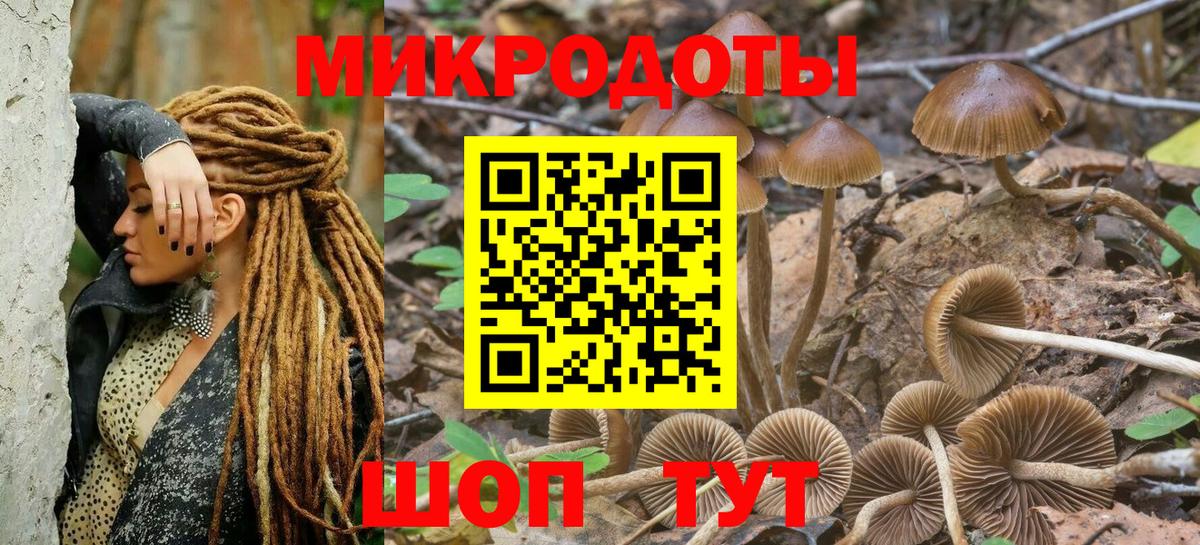 как найти   Галлюциногенные грибы Psilocybine cubensis  Вход с VPN  Зеленодольск  Псилоцибиновые грибы MAGIC MUSHROOMS 