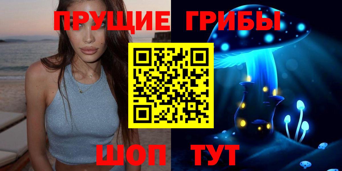 Галлюциногенные грибы Psilocybe Зеленодольск